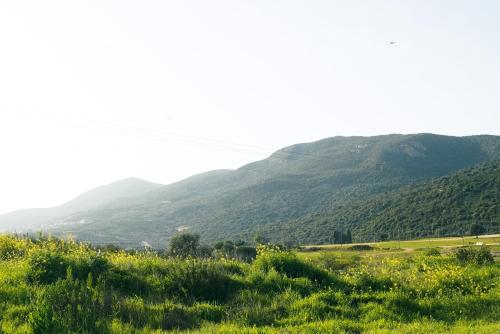a green field with mountains in the background at Parod Country Lodge in Parod