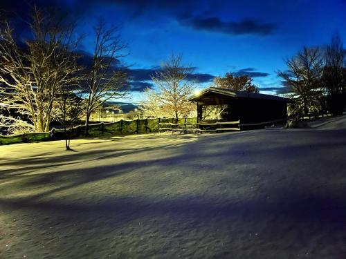 Chalet Vacanze Il Daino في ليونيسا: طريق مغطى بالثلج مع منزل في الخلفية