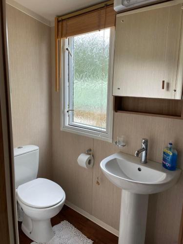 a bathroom with a toilet and a sink and a window at Swift bordeaux 24 in Dunoon