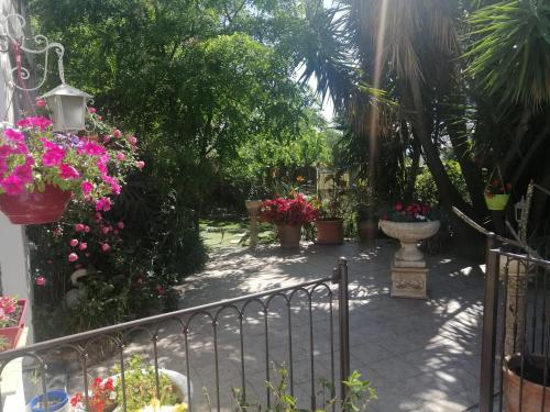 Κήπος έξω από το Villa Lysa