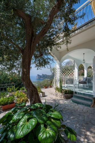 Foto Belvedere apartament stunning sea view 5