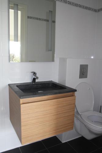 a bathroom with a sink and a toilet at De Nieuwe Stal in Scherpenisse