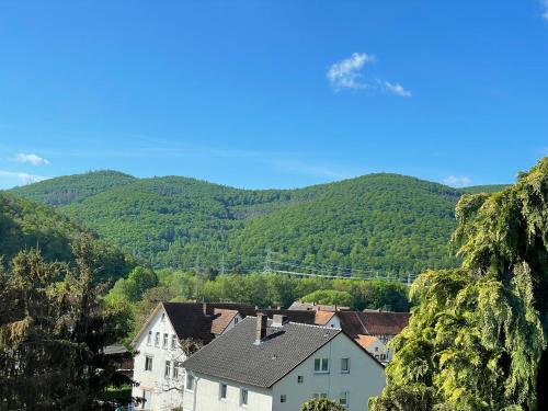 a small village with mountains in the background at Maharaja Ferienhaus in Hemfurth-Edersee