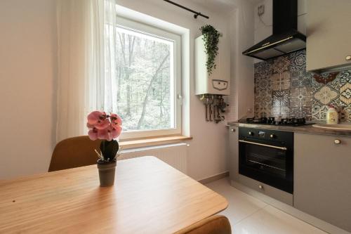 Gallery image of Nature Apartment - Minutes Away from the Old Town and AFI Mall in Braşov
