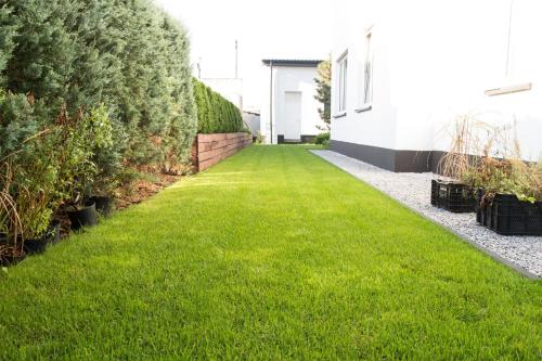a garden with green grass next to a building at Villa Kava in Warsaw