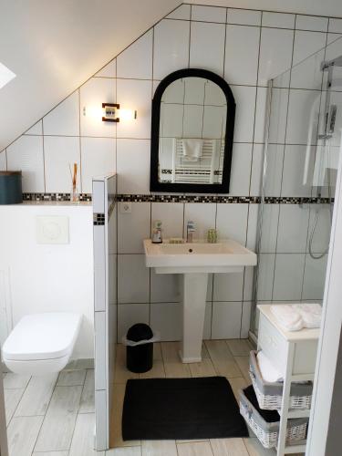 ein Badezimmer mit einem Waschbecken, einem WC und einem Spiegel in der Unterkunft La loge in Menetou-Salon