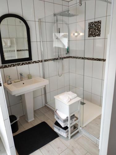 ein Bad mit einer Dusche, einem Waschbecken und einem Spiegel in der Unterkunft La loge in Menetou-Salon