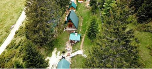 an aerial view of a house on a hill with trees at Koliba Simonović-Šiško jezero in Berane