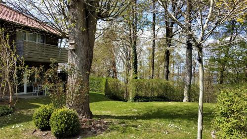 Taman di luar fewos am kleinen meer