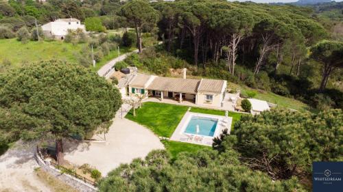 Villa Pine Forest