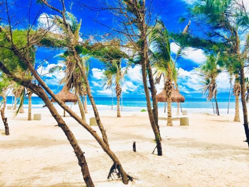 un groupe de palmiers sur une plage dans l'établissement VG-Sun Deluxe Bungalow Cumbuco Beach View Top WiFi, à Cumbuco