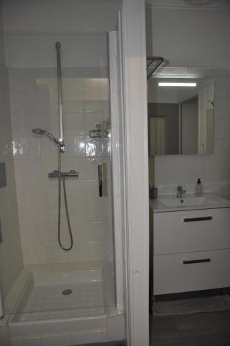 La salle de bains est pourvue d'une douche et d'un lavabo. dans l'établissement Amido Zen, à Toulouse