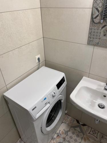 een wasmachine in een badkamer naast een wastafel bij Taikos 3 studio in Nida