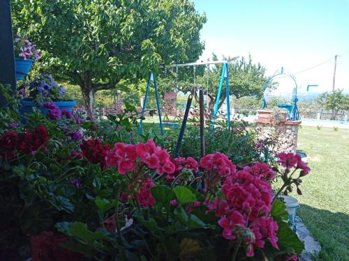 a garden of flowers with a swing in the background at ΕΞΟΧΙΚΟ ΣΤΟΥΣ ΠΡΟΠΟΔΕΣ ΤΟΥ ΟΛΥΜΠΟΥ in Leptokarya