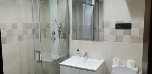 een badkamer met een douche, een wastafel en een toilet bij APARTAMENTOS SALAMANCA PUERTA ZAMORA, Centro, Wifi, 2 habitaciones, Parking in Salamanca