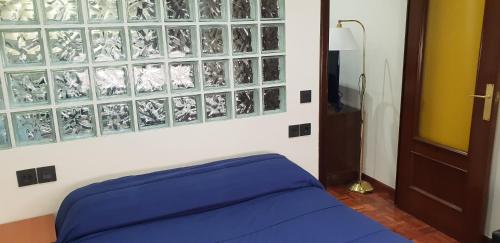 een slaapkamer met een blauw bed en een glazen wand bij APARTAMENTOS SALAMANCA PUERTA ZAMORA, Centro, Wifi, 2 habitaciones, Parking in Salamanca