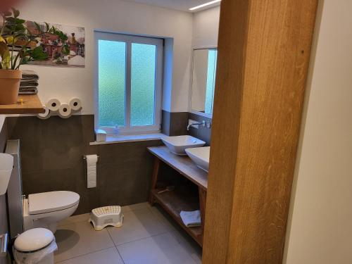 a bathroom with a sink and a toilet and a window at Family's Nest Chiemsee in Chieming