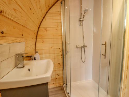 a bathroom with a shower and a sink at Meadow Lodge Berrys Place Farm in Gloucester