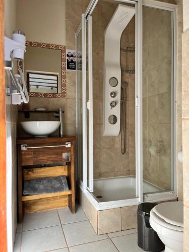 a bathroom with a shower and a sink at La Petite France in San José de Maipo