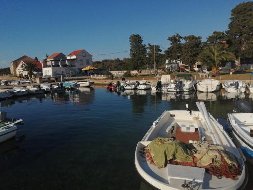 un barco está atracado en un puerto deportivo con otros barcos en Apartment Mimosa-Olib HR, en Olib