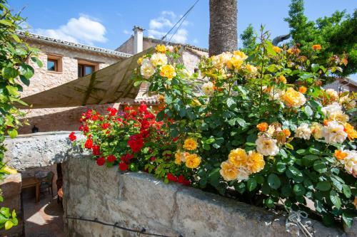 a bunch of flowers in a stone wall at Sa Barcella TI 64 in Sineu