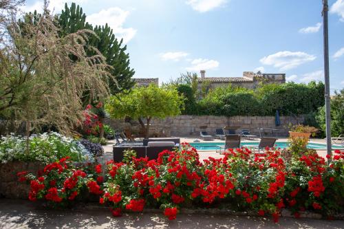 a garden with red flowers next to a swimming pool at Sa Barcella TI 64 in Sineu