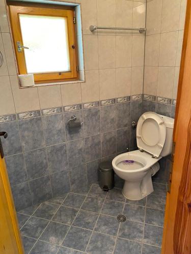 a bathroom with a toilet and a window at вила Здравец in Yagodina