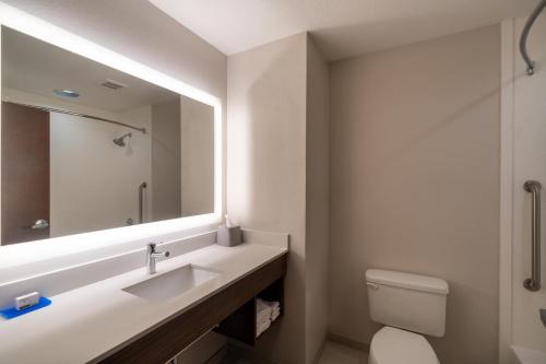 a bathroom with a sink and a mirror at Holiday Inn Express Hotel & Suites Talladega by IHG in Talladega