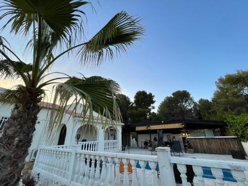 una palmera frente a un edificio en Villa la Vida, en Alfaz del Pi