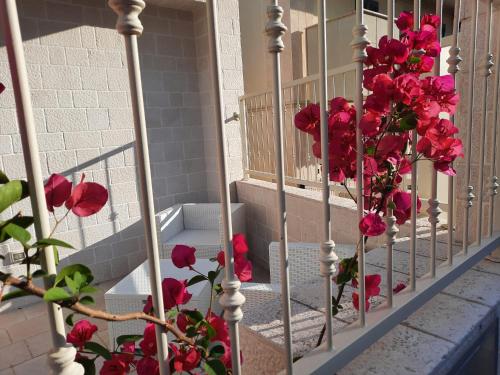 a bunch of red flowers on the side of a building at La Resilienza in Ginosa Marina