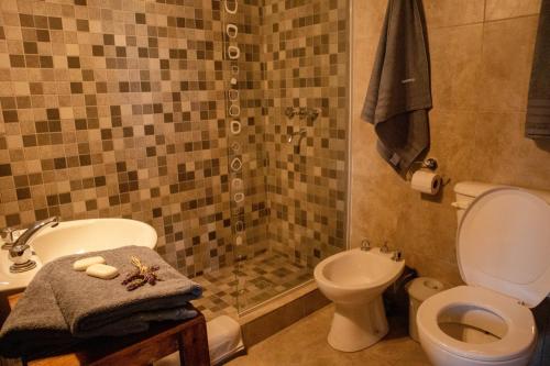 a bathroom with a shower and a toilet and a sink at El Aromito Hospedaje in Tilcara
