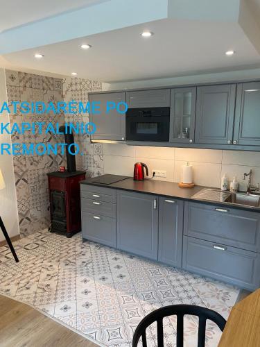 eine Küche mit blauen Schränken und einer Arbeitsplatte in der Unterkunft Taikos 3 studio in Nida