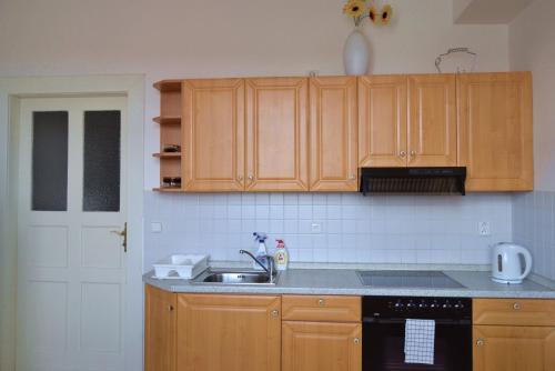 a kitchen with wooden cabinets and a sink at Pravouhla in Prague