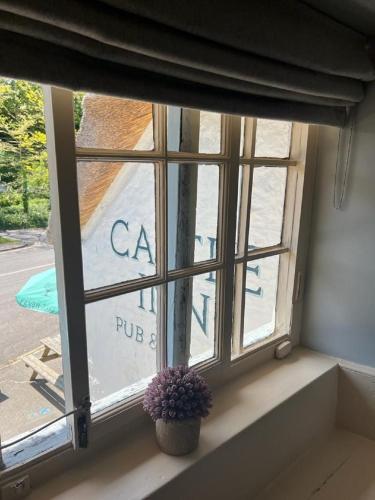 a window with a potted plant sitting in a window sill at Castle Inn in West Lulworth