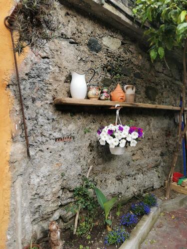 a wall with shelves with flowers and vases on it at Itaca in Varazze