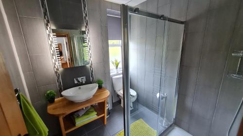 a bathroom with a sink and a glass shower at Deeside Holiday Cottages in Dinnet