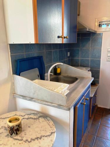 a kitchen with a sink and a toilet in it at Andros Studios Tetrafylli in Andros
