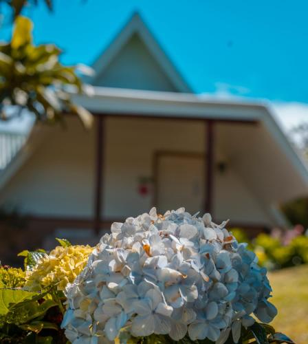 Φωτογραφία από το άλμπουμ του Hortensias Chalets Vara blanca σε Ερέδια