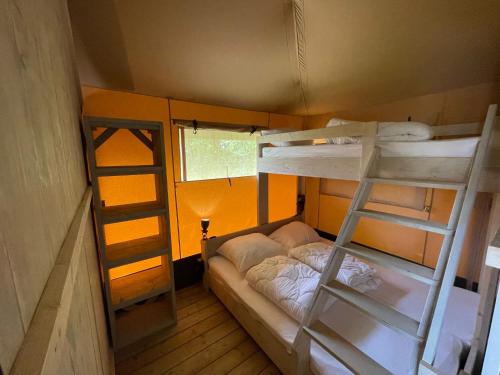 a small room with two bunk beds and a ladder at Lodge Friesland in Grou