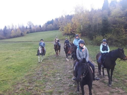 Fotografia z galérie ubytovania Osada Konna ASSANYA Rezydencja Assanya v destinácii Ujanowice