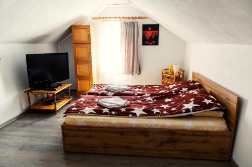 TV a/nebo společenská místnost v ubytování Elekes Apartmans