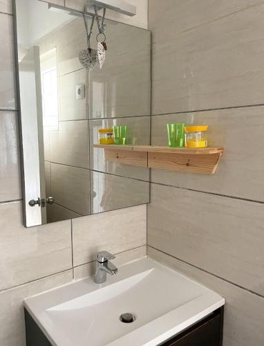 a bathroom with a sink and a mirror at Hibiscus Beach House in Willemstad