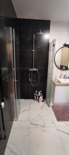 uma casa de banho com um chuveiro e um lavatório. em Apartament rodzinny w obiekcie Nautikka Park em Krynica Morska