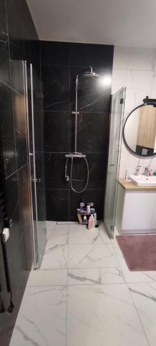 ein Badezimmer mit Dusche und Waschbecken in der Unterkunft Apartament rodzinny w obiekcie Nautikka Park in Krynica Morska