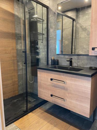 une salle de bain avec un lavabo et une douche dans l'établissement Naturist Port Ambonne Melrose View, au Cap d'Agde