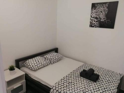 Gallery image of Aurelia Apartments, Vir in Vir