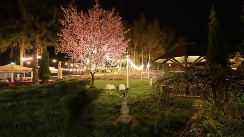 a park lit up at night with trees and lights at Wrzos & Belvedere in Kudowa-Zdrój