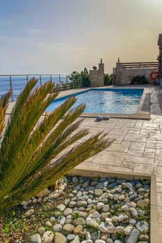 a swimming pool with a palm tree next to the water at Maistros Villa in Rodakino