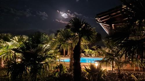 a view of a pool at night with palm trees at Le Relais des Chevaliers "La Suite des Seigneurs" in Cordes-sur-Ciel