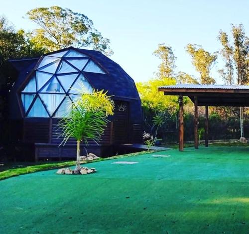 a dome house on a green yard with a palm tree at DOMO ¨EL TIO JUAN¨ in Piriápolis